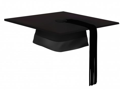 BFA alumni return