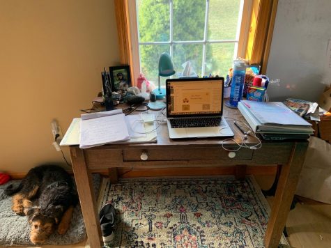 A typical day of teaching in a virtual classroom
Photo Credit: Jennifer Hindes