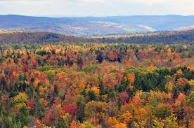 Photo credit: https://commons.wikimedia.org/wiki/File:Vermont_fall_foliage_hogback_mountain.JPG