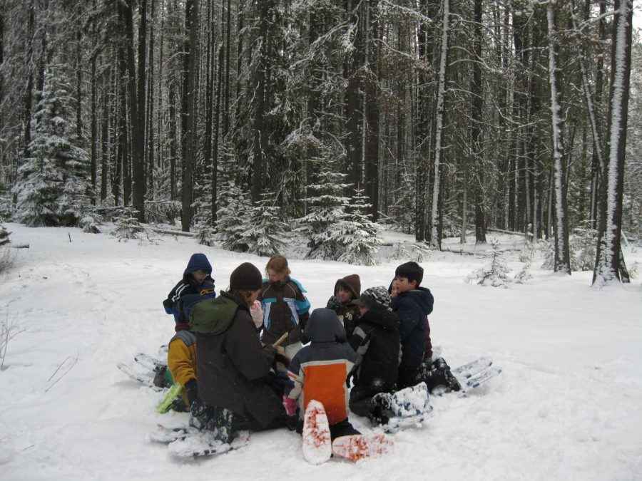 Photo Credit: https://commons.wikimedia.org/wiki/File:Winter_Ecology_Education_(4476908390).jpg 