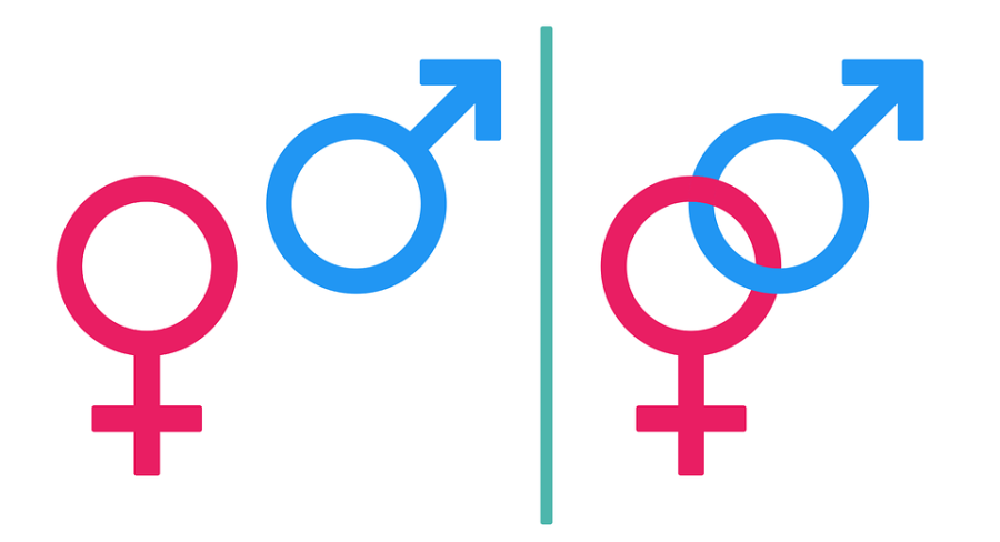 Photo credit: https://pixabay.com/vectors/gender-symbol-male-female-2965774/