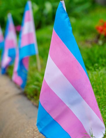 Photo credit: https://www.leedsbeckett.ac.uk/blogs/lbu-together/2021/11/transgender-awareness-week/